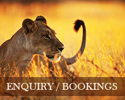 tanzania safaris bookings